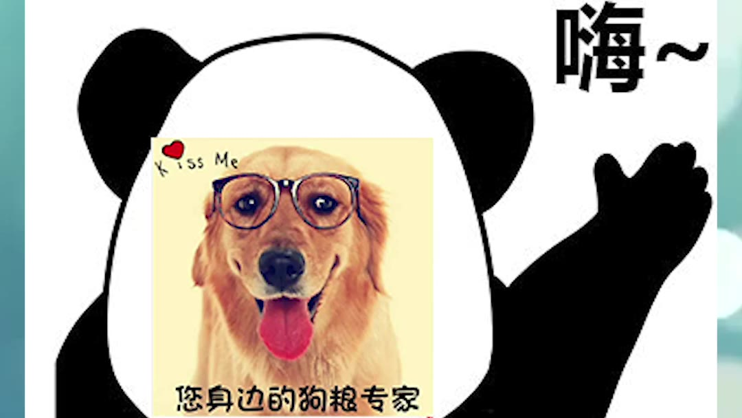 某猫海外旗舰店英国进口狗粮是河北毒狗粮,玉米毒素超标3.85倍
